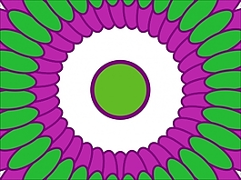 花為背景的幻燈片- 24711055