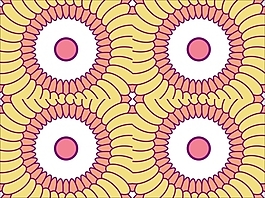 花为背景的幻灯片- 57749787
