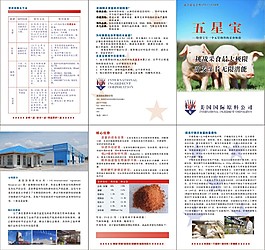 豬飼料宣傳冊