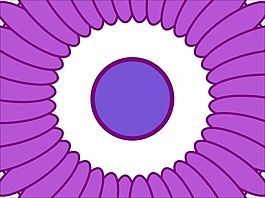 花為背景的幻燈片- 56711038