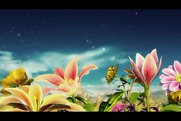 鮮花盛開(kāi)視頻素材模板下載