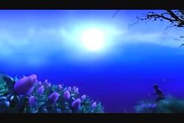 花朵開放視頻素材