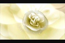 婚禮視頻素材模板下載