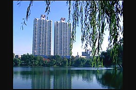 自然景觀背景視頻素材
