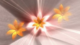 鮮花