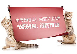 節(jié)約光榮浪費(fèi)可恥PSD素材