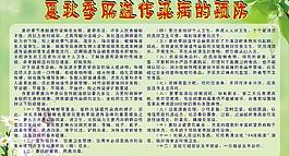 夏季圖片
