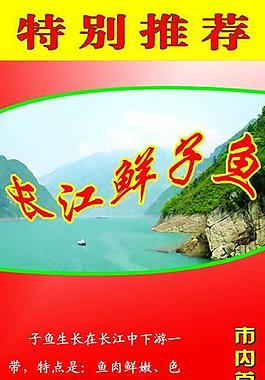 x展架圖片
