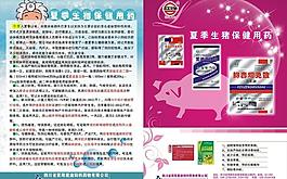 夏季生豬保健用藥dm 廣告設計圖片