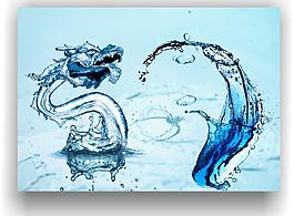 水 水龍圖片