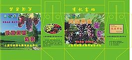 葡萄外盒包裝設計圖片