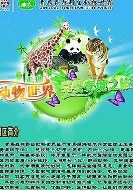 動物園x展架圖片