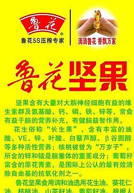 魯花堅果x展架圖片