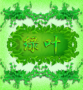 绿叶花纹边框矢量