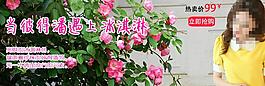淘寶彼得潘領女裝海報