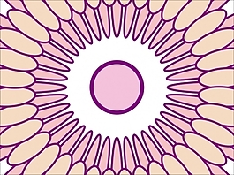 花為背景的幻燈片- 49595193