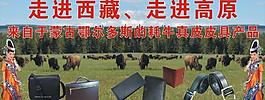 皮具圖片