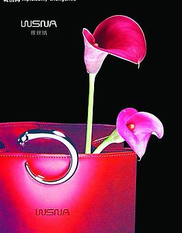 皮具海報(bào)圖片