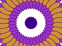花為背景的幻燈片- 56076781