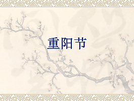 重陽(yáng)節(jié)PPT模板