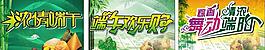 濃情端午圖片
