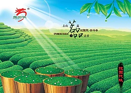 茶海報(bào)