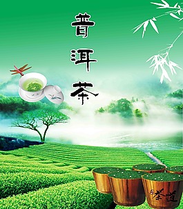 普洱茶