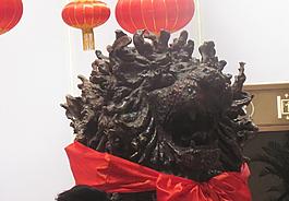 狮子图片