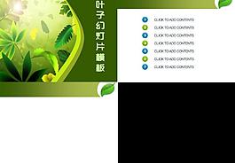 绿色叶子图片