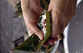 端午節(jié) 粽子圖片