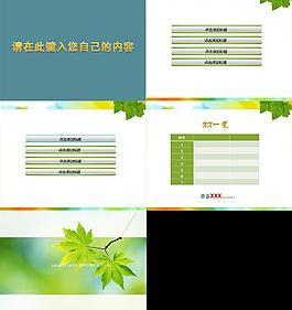 楓樹圖片