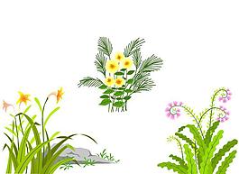 花朵图片