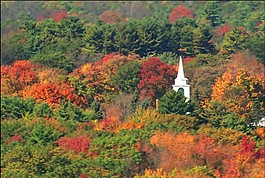 大城市