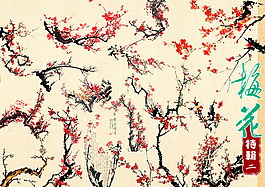 一些梅花素材