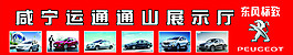 東風(fēng)標(biāo)志