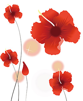 紅色罌粟花