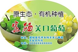 关口葡萄