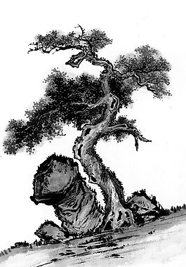 樹松國畫