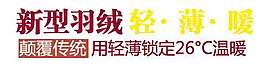 羽绒促销文字排版设计