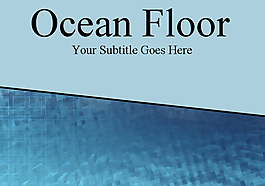 Sealike地板PPT