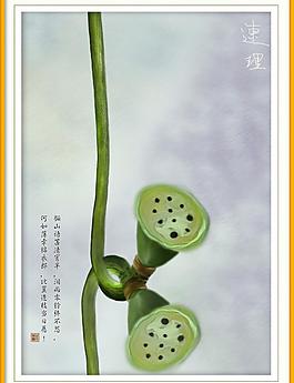 粉藕圖片