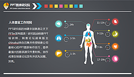 人體器官ppt圖表