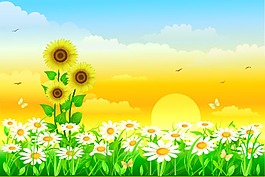 花園里的向日葵