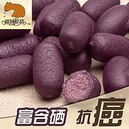 淘寶紫薯直通車圖