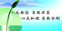 廉政文化圖片