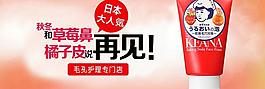毛孔撫子圖片