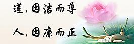 莲 因洁而尊图片
