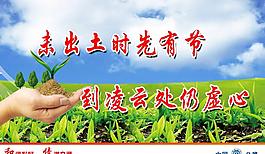 未出土時先有節 到凌云處仍虛心圖片