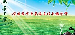 春茶上市圖片
