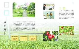 商業畫冊圖片
